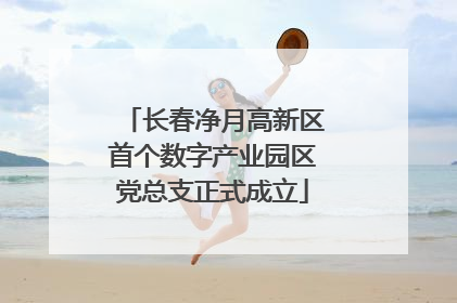 长春净月高新区首个数字产业园区党总支正式成立